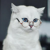 Trưởng Lão
