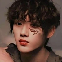 Đinh Trình Hâm