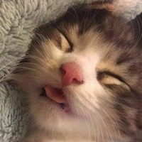 Cô bé tác giả
