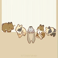 All pokemon