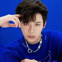 thụy du