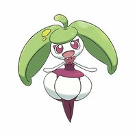 Steenee - Mao