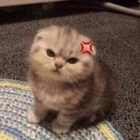 Cân mọi nv