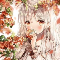 [Sugar]