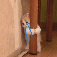 Tg toàn bị đe đọa đốt nhà:))