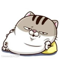 con tác giả lười nhác 😎