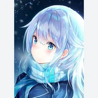 Y/N