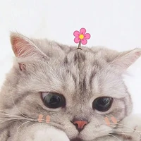 tất cả mọi người có mặt