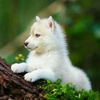 Bin [hệ thống 003]