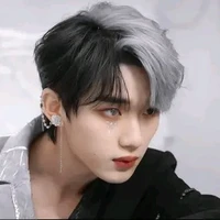 Đinh Trình Hâm