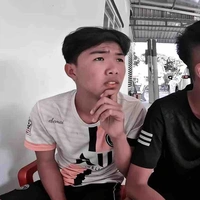 Phạm Đình Hoà