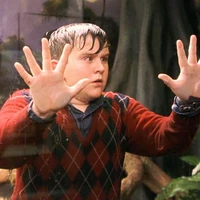 Dudley Dursley