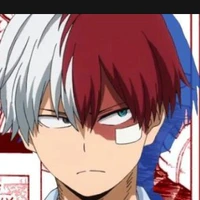 Todoroki shouto_shouto