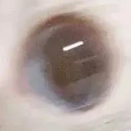 bí ẩn