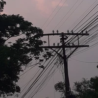 Nhân vật quần chúng