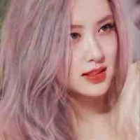 Park Chaeyoung(nàng)