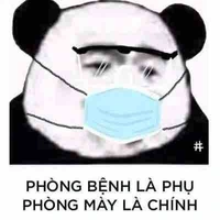Học sinh tổng hợp 
