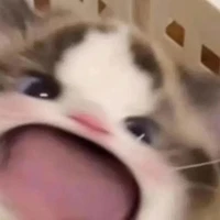t/g thỉu nănggg chỉ mê 2D