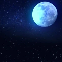 Cân mọi NV