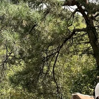 Nhân vật quần chúng