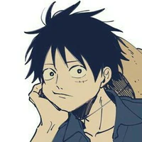 °Monkey D Luffy°