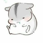 Hamster dễ thương