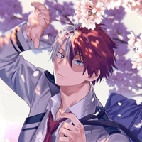 Todoroki Shouto / Tiêu Đông