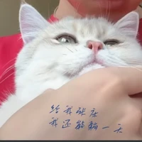 tác giả -.-