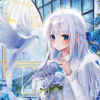Mary ( tg)