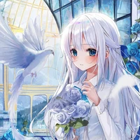Mary ( tg)