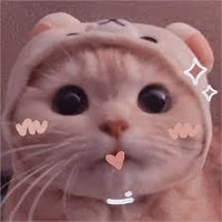 cô, gái, cậu