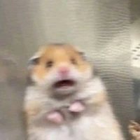 nhìn j