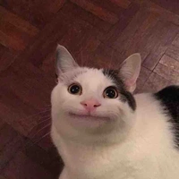 Mẻ tác giả 