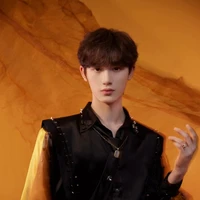 Đinh Trình Hâm