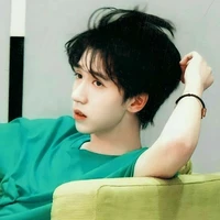 Hạ Tuấn Lâm