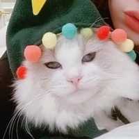tác giả nhập tâm 🤣