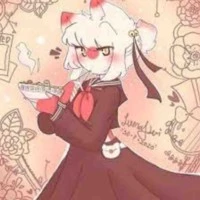 Nekomi Japan