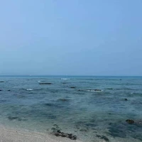 Tác giả _lười biến