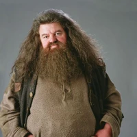 Rubeus hagrid