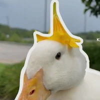 ????