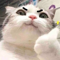 Tác giả đáng yeuuu