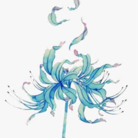 ( Ẩn)