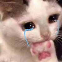 Hệ thống cute ❤