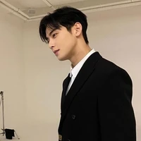 Cha Eun-woo