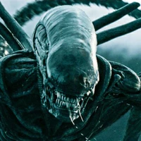 Xenomorph