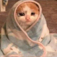 Tất cả mọi người có ở đó