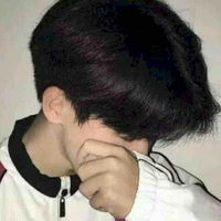 Lý Tử Hiên ( anh trai nữ9 )