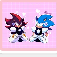 Akuma the hedgehog
