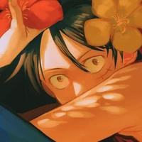 Monkey .D Luffy