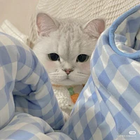 Wayy Đây Nò